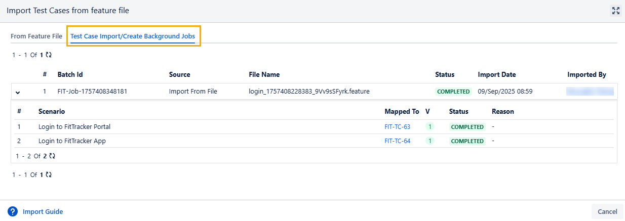 Test Case Import Create Background Jobs