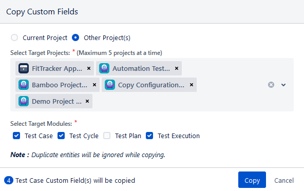 Copy Custom Fields Other Project