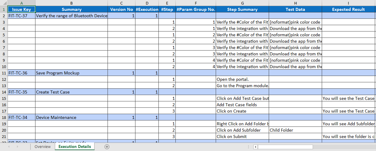 Execution Details Tab of Excel