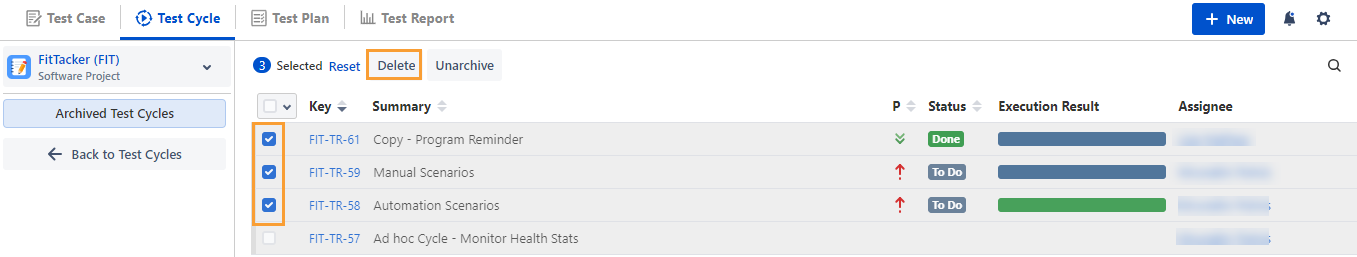 Bulk Delete Test Cycles
